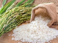 Thủ tướng chỉ đạo giải pháp ứng phó biến động thị trường gạo