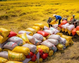 Thị trường thế giới biến động, xuất khẩu gạo Việt Nam ứng phó thế nào?