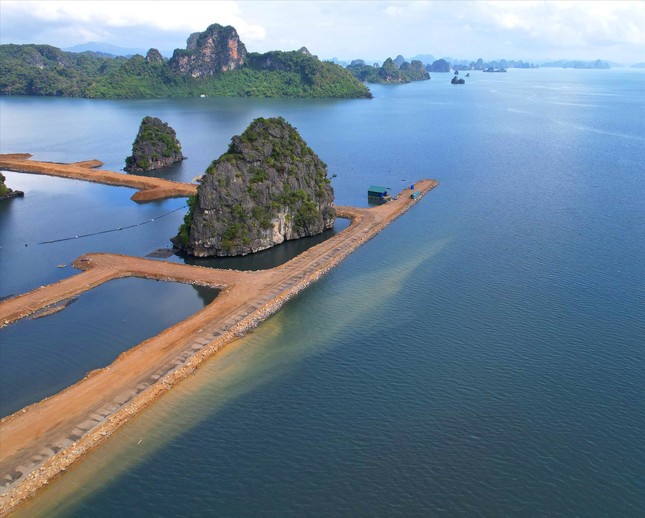 Lấp vùng đệm vịnh Hạ Long làm biệt thự, nhà liền kề: Chủ đầu tư để bùn đất trôi tự do ra vịnh