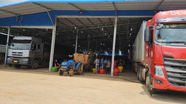 Các lãnh đạo nói gì khi bị kiểm điểm vì kho bãi sầu riêng ‘mọc’ tràn lan?
