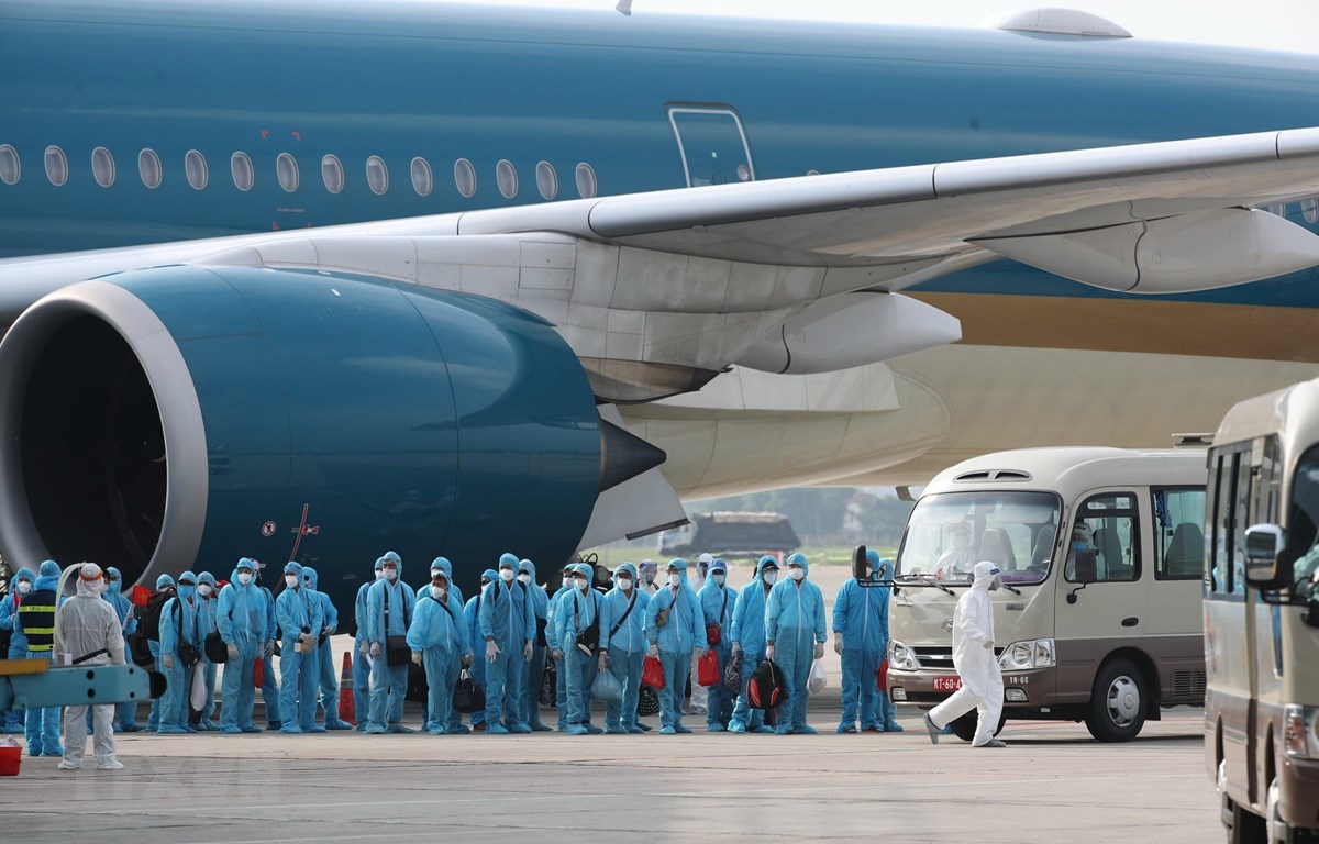Vụ 'chuyến bay giải cứu': 21 cán bộ nhận hối lộ tổng cộng hơn 177 tỷ đồng