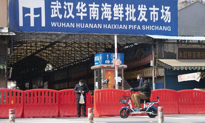 Nguồn gốc COVID-19: Trung Quốc công bố dữ liệu giật mình từ chợ Vũ Hán