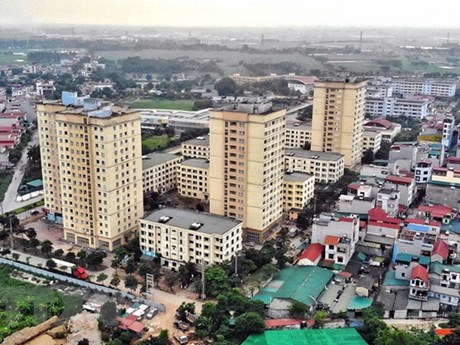Doanh nghiệp tìm cách 